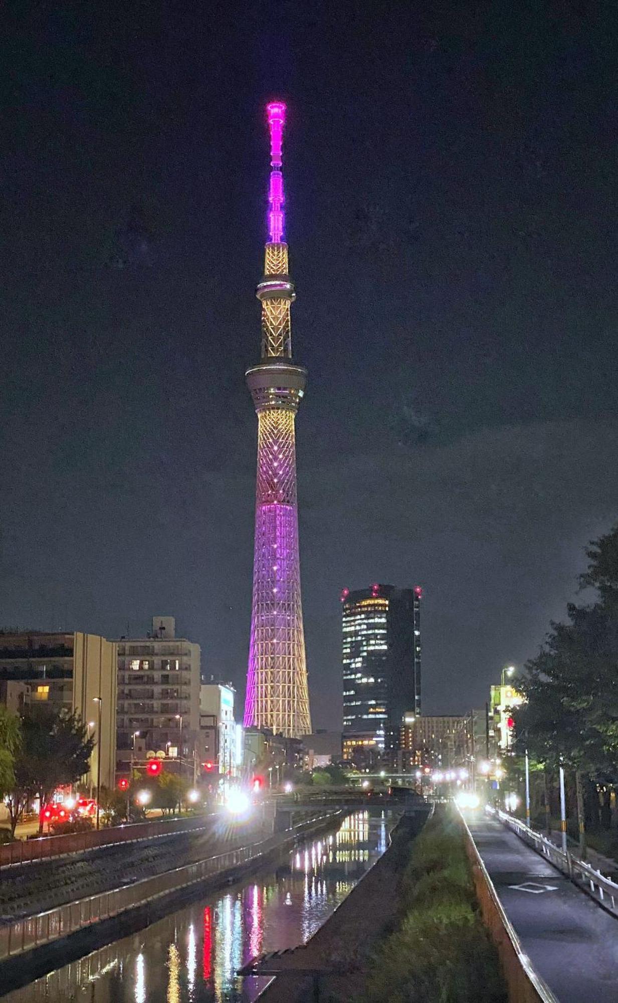 Tokyo Sakura Hotel מראה חיצוני תמונה